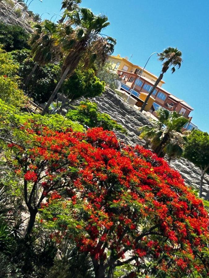 Villa Natali ,Luxury 3-Levels Large Villa On Tenerife, Ocean View, Private Poo L& Barbecue Area 阿德耶 外观 照片