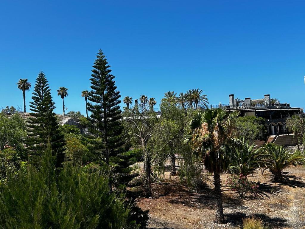 Villa Natali ,Luxury 3-Levels Large Villa On Tenerife, Ocean View, Private Poo L& Barbecue Area 阿德耶 外观 照片